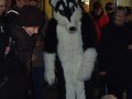 DSCF2722.JPG
